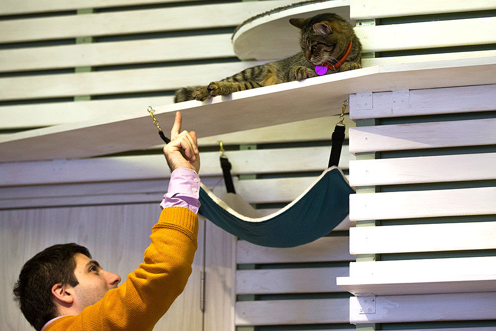 В Москве открылось первое японское котокафе