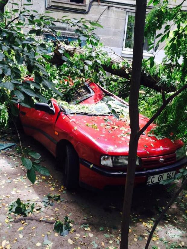Un Nissan roșu, distrus după ce un plop din capitală s-a prăbușit peste el