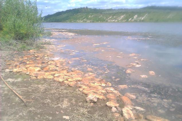 Sute de pâini aruncate în apele Nistrului la Rezina