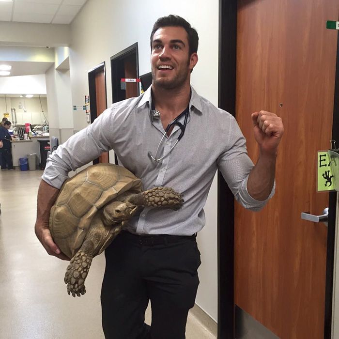 Сексуальный ветеринар стал новой интернет-сенсацией