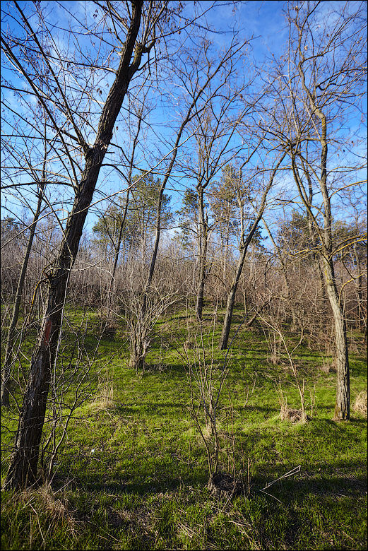 На территории Молдовы из космоса видны огромные геоглифы