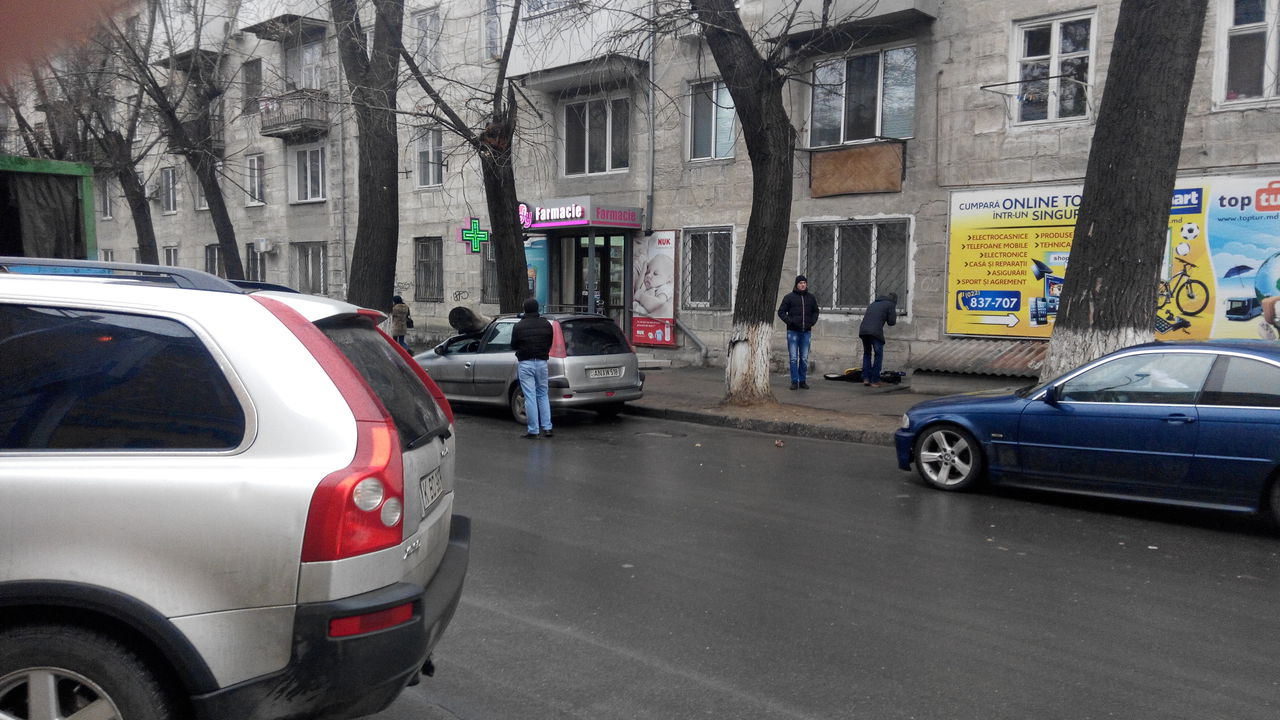 В Кишиневе на машину упало дерево