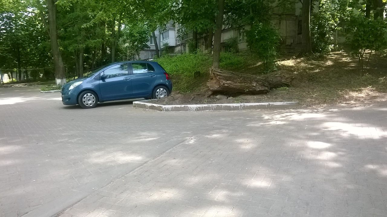 Angajaţii Primăriei Capitalei "măieştri" în a vopsi cu var