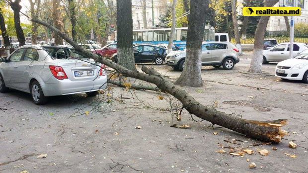 Mașină distrusă de un copac în centrul capitalei
