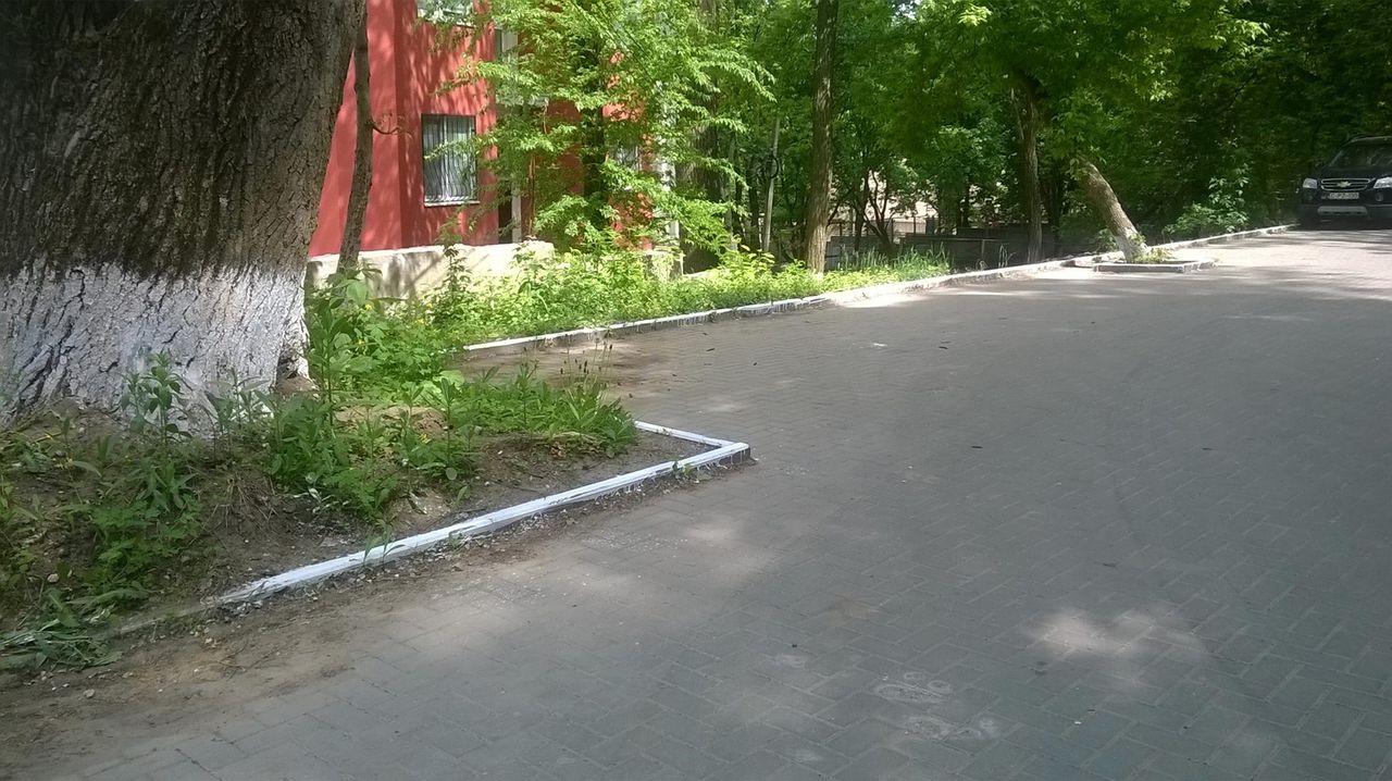 Angajaţii Primăriei Capitalei "măieştri" în a vopsi cu var