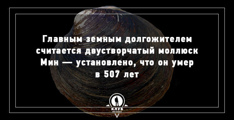 10 интересных фактов о мире, которые вы вряд ли знали