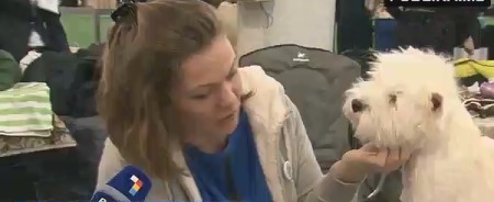 В столице проходит международная выставка собак