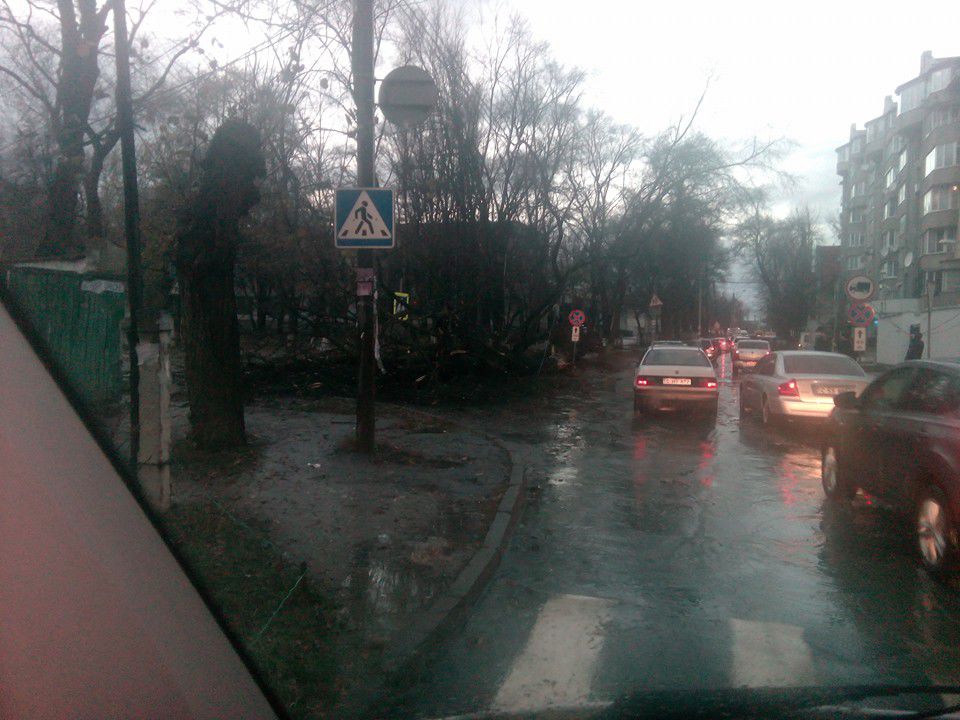 На Рышкановке машину придавило упавшим деревом