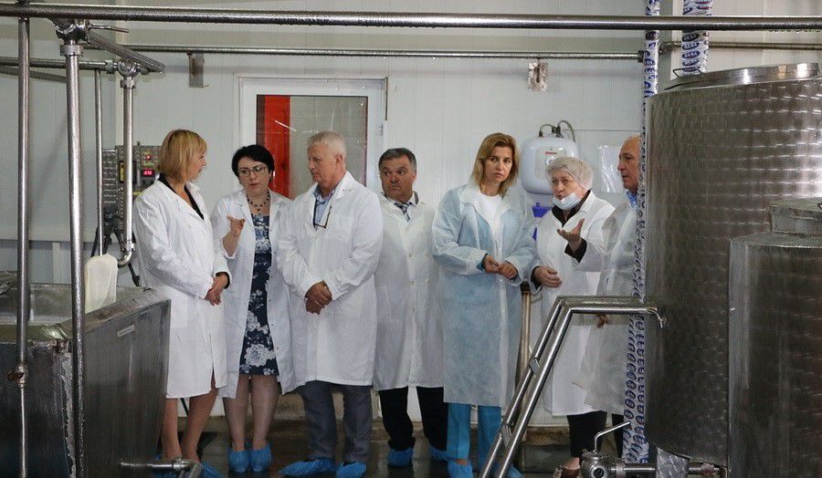 Ряд предприятий, работающих в муниципии Комрат, посетили башкан и спикер НСГ
