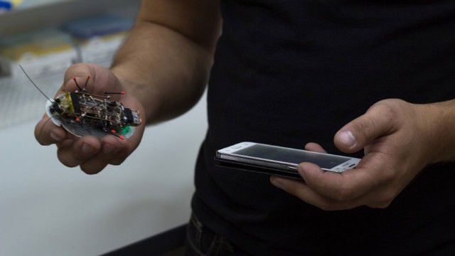Российские ученые создали робота-таракана