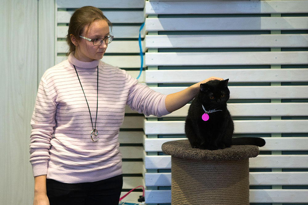 В Москве открылось первое японское котокафе