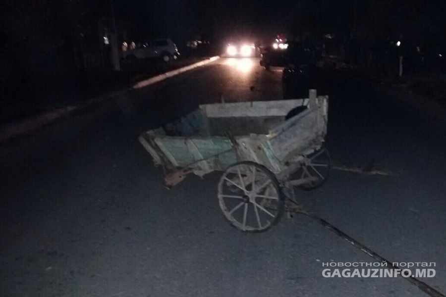 Страшное ДТП в Конгазе: водитель гужевой повозки погиб на месте