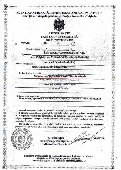 Мнение: Муниципальные службы занимаются отловом собак незаконно