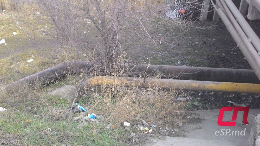 Река Реут в Бельцах находится в плачевном состоянии