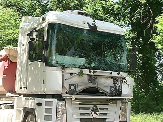 Chișinău: Un copac a căzut din senin peste un camion