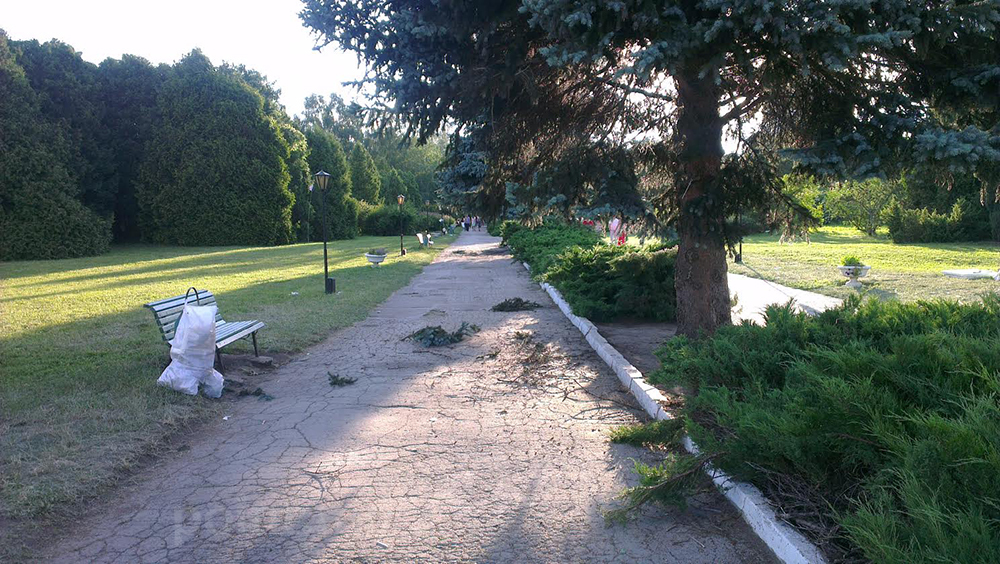 мусор, ботанический сад