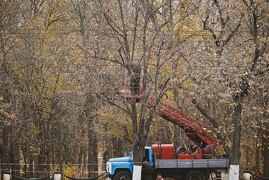 Кишинев украшают к праздникам