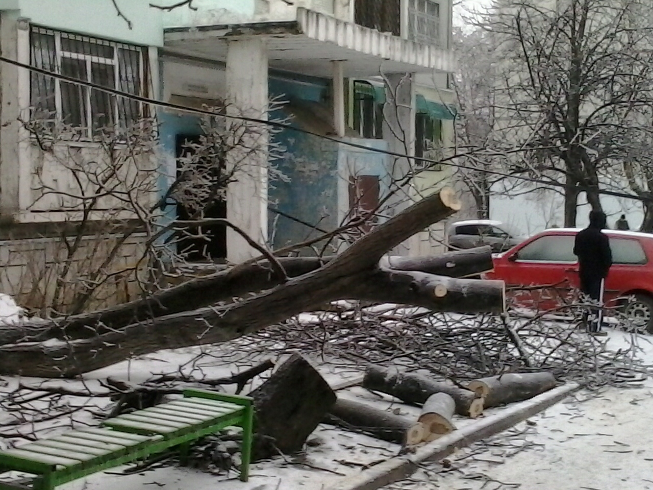 В Кишиневе продолжают падать обледенелые деревья