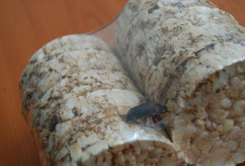 5 шокирующих вещей, найденных кишинёвцами в продуктах питания
