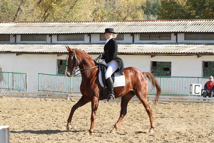 Campionii Republicii Moldova la hipism 2015