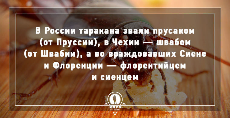 10 интересных фактов о мире, которые вы вряд ли знали