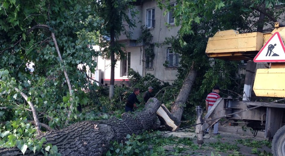 Un copac s-a prăbușit peste o casă din sectorul Buiucani