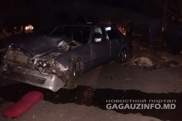 Страшное ДТП в Конгазе: водитель гужевой повозки погиб на месте