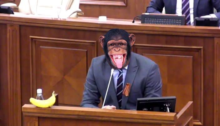 Internauții fac haz de necaz pe seama acțiunii unui deputat