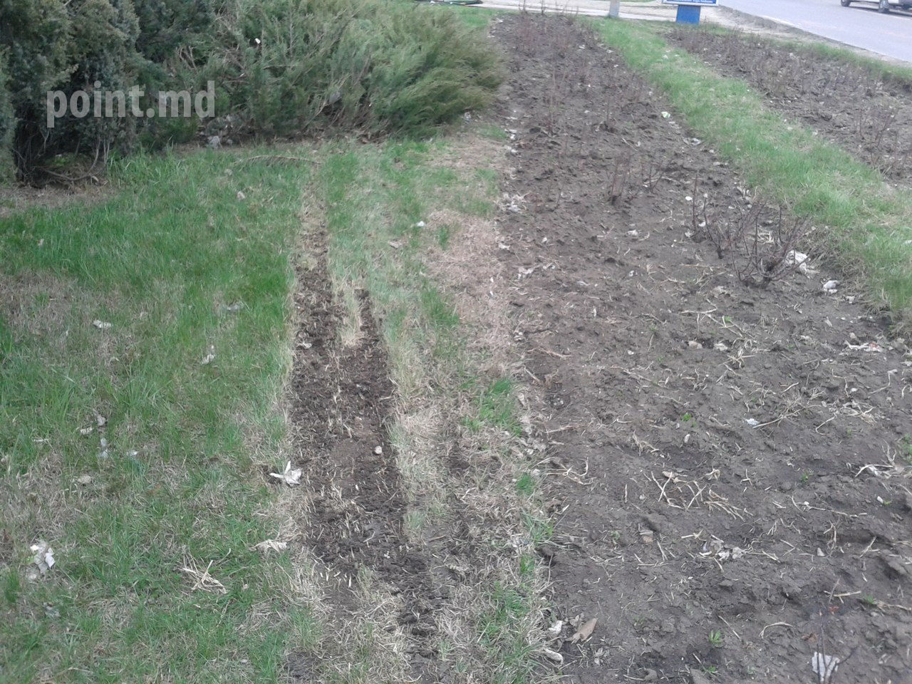 Cum a reusit o masina de lux sa doboare un panou publicitar in capitala