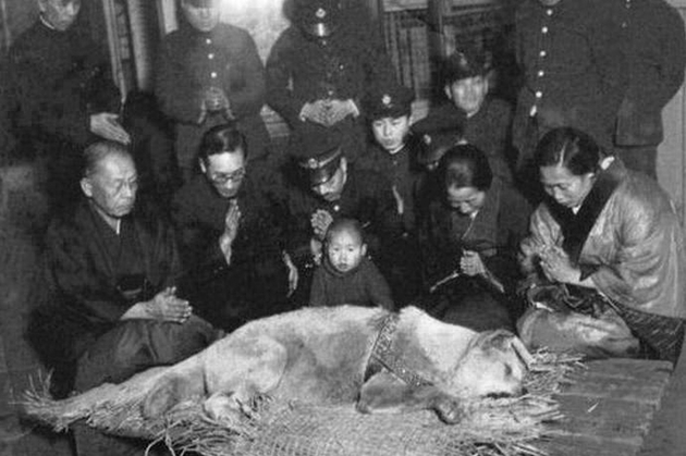 Ultima fotografie a lui Hachiko, cel mai loial câine din lume