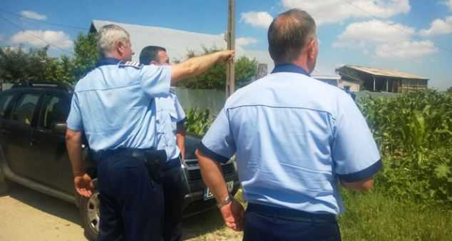 Румын обнаружил на месте своего дома кукурузное поле