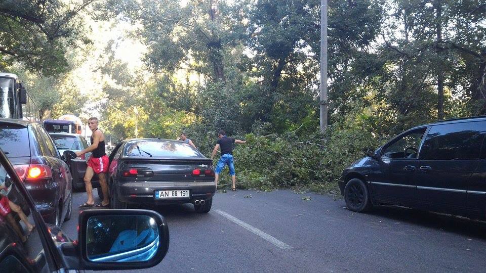Circulație blocată pe strada Muncești: Un copac căzut la pământ a paralizat traficul