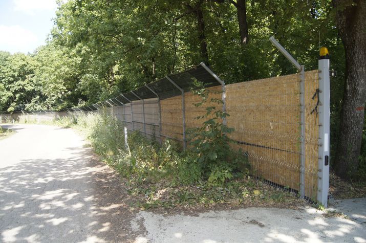 Bogătașii țării au arendat păduri, au tăiat copacii și au construit vile de lux