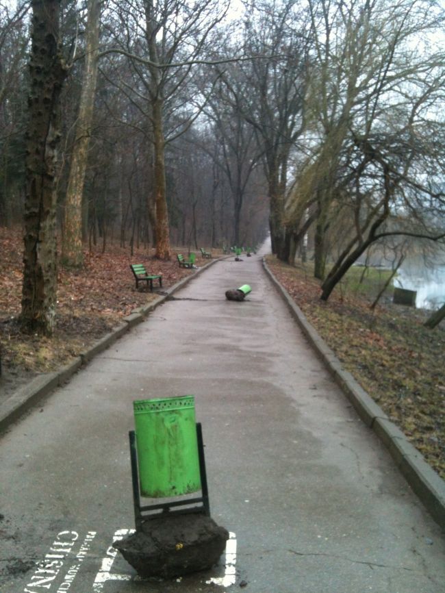 Imaginile surprinse intr-un parc din capitala