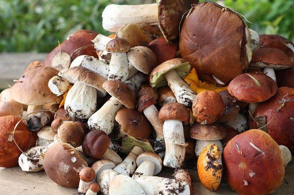 3 самых опасных продукта для употребления летом