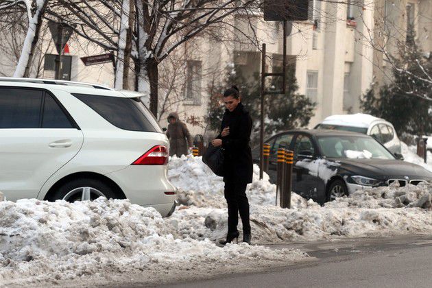 Elena Băsescu s-a întors la muncă. Ce salariu are