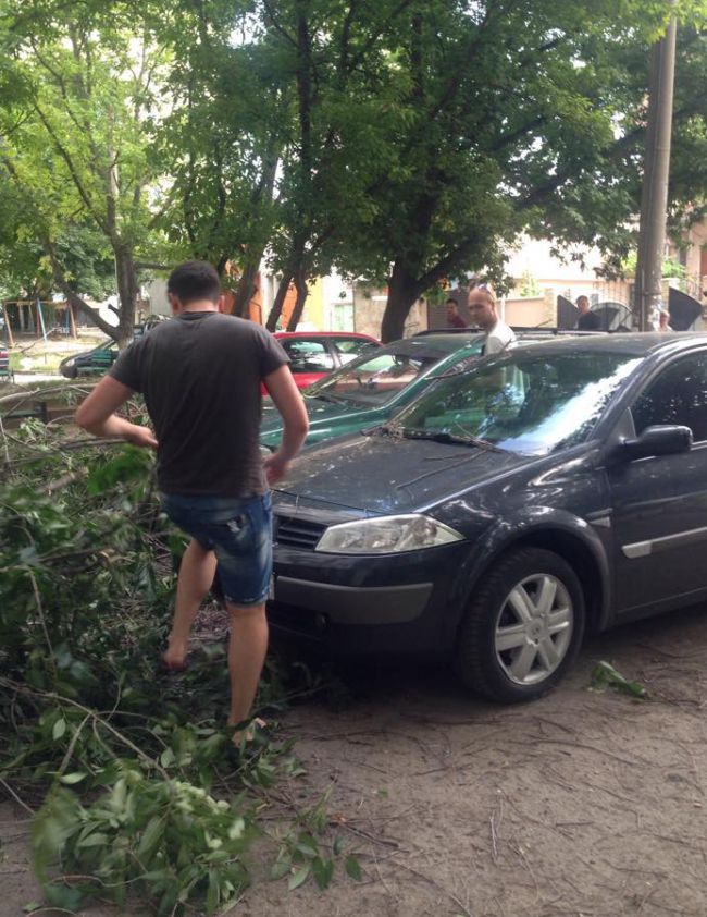 Furtuna a prăbuşit un copac peste mai multe maşini