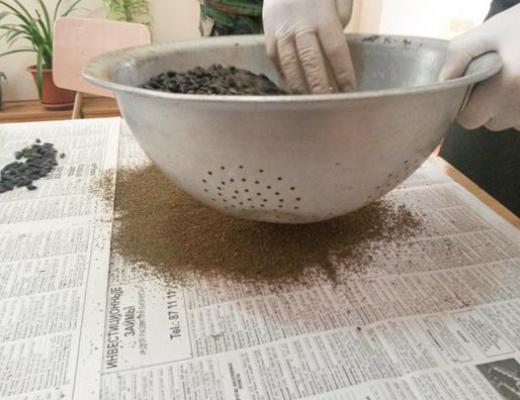 В палке колбасы сотрудники тараклийской тюрьмы обнаружили «сюрприз»