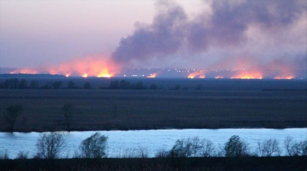 Под Одессой загорелись плавни Днестра, огонь охватил 13 гектаров