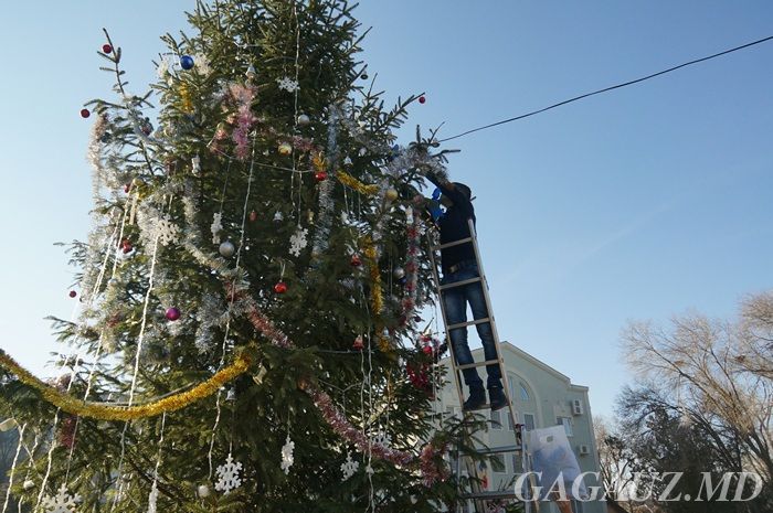 Представители Молодёжного совета украсили новогоднюю ель в Чадыр-Лунге