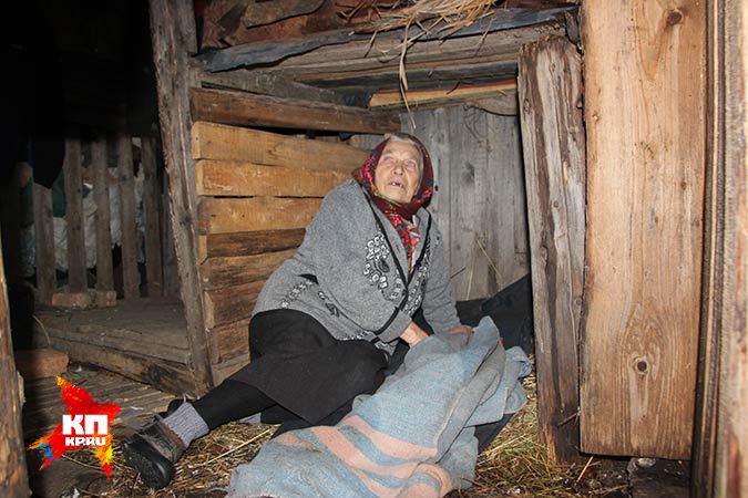 Бабушка-ветеран ушла жить в собачью конуру от обиды