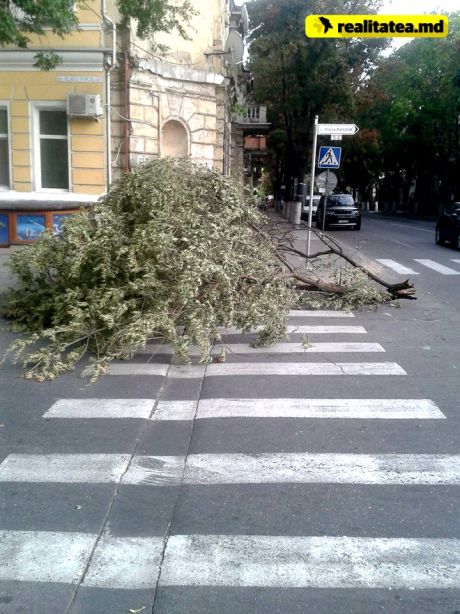 Ce pagube a produs vântul puternic din această după-amiază, în capitală