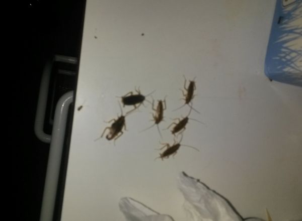 Пациенты больницы из Флорешт находятся в ужасных условиях