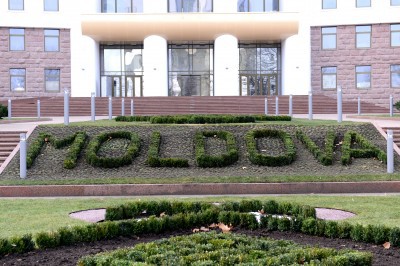 Фотография дня: Сюрприз в парламентском сквере