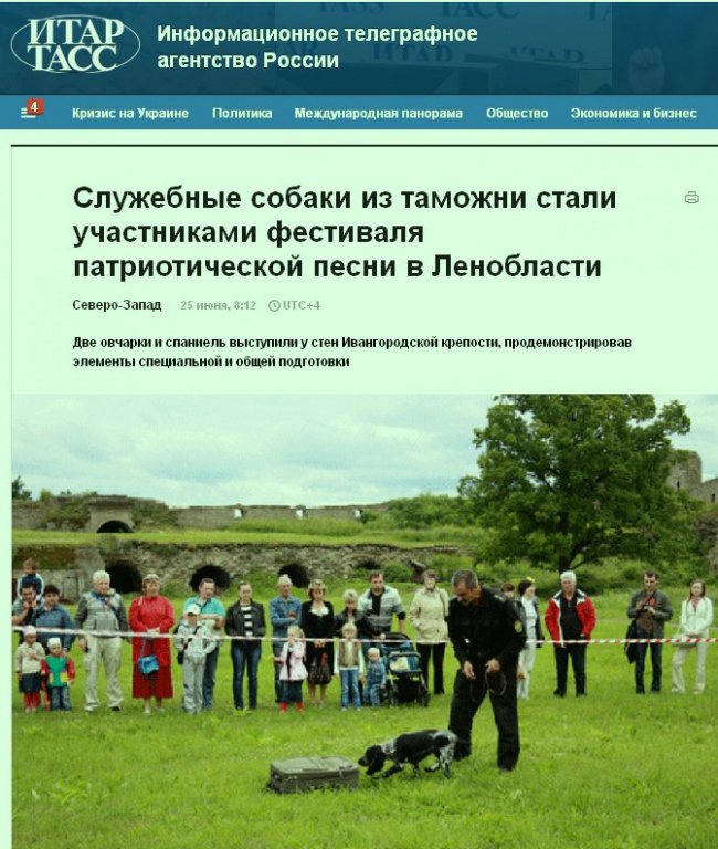 Самые яркие заголовки новостей в рунете