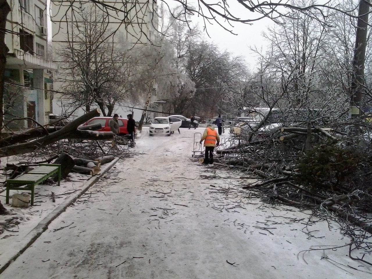 В Кишиневе продолжают падать обледенелые деревья