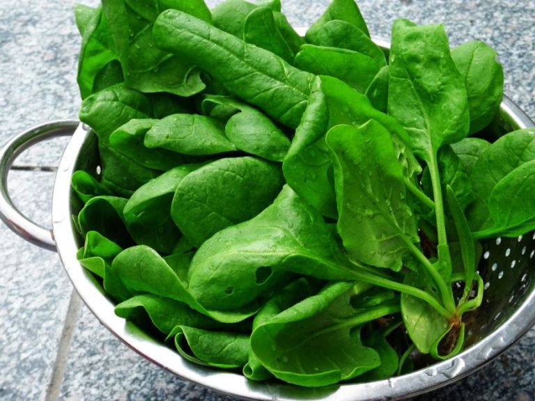 Суперпродукты апреля: чем нужно наполнять продуктовую корзину