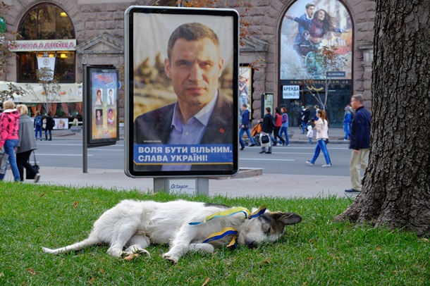 Не звери, поможем. Политическая агитация в Украине