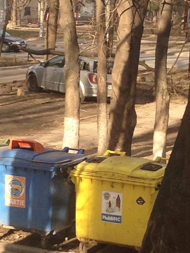 Un copac a cazut peste o masina in sectorul Botanica