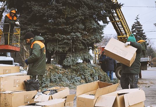 Рождественскую ель установили в центре столицы